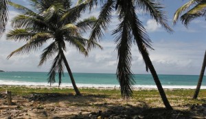 martinique-plage