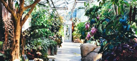 astuces grand mere jardin