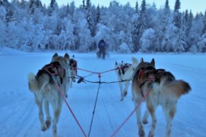 Une destination d'hiver