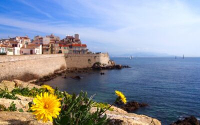 Which district is Antibes best?