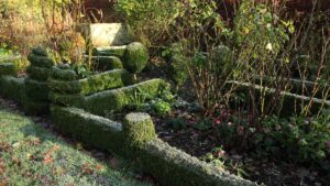 jardin d'hiver
