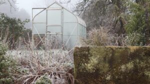 jardin d'hiver