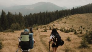 Randonnées accessibles en fauteuil roulant