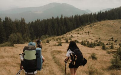 Randonnées accessibles en fauteuil roulant dans les Alpes françaises