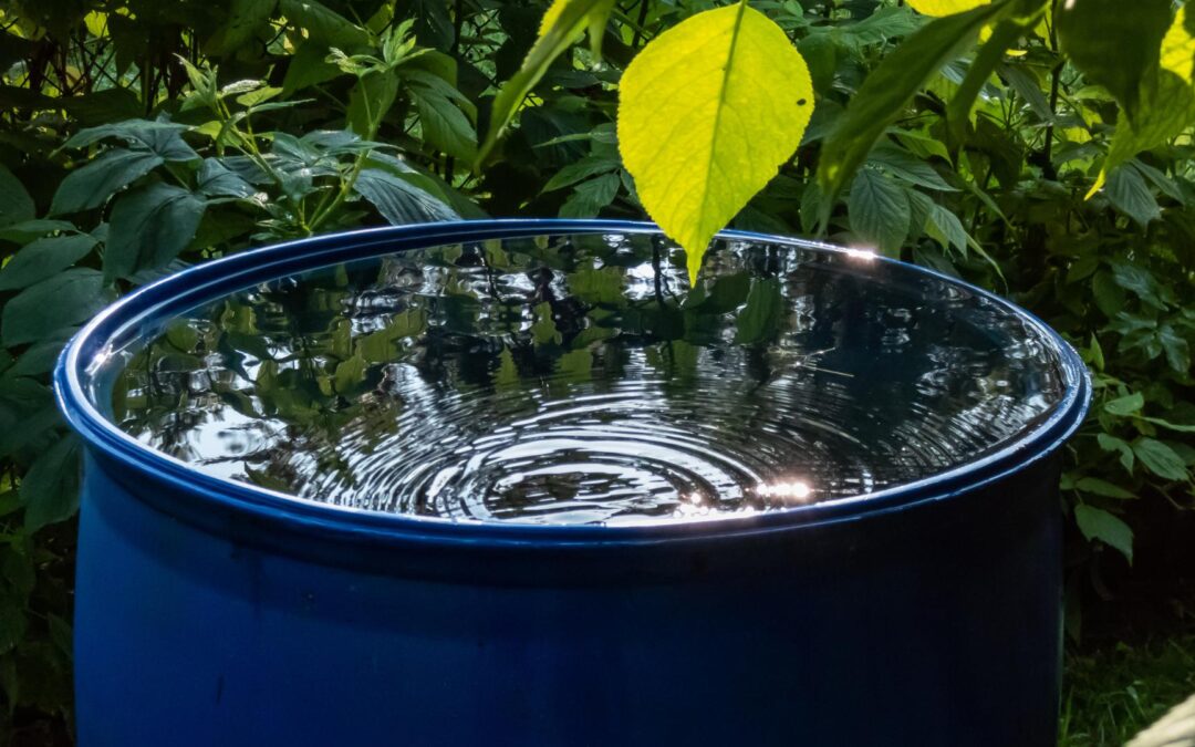 Choisir un récupérateur d’eau de pluie pour jardin urbain